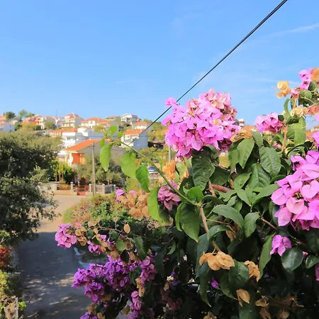 Apartments With Parking Space Slatine, Ciovo - 2566 * Slatine